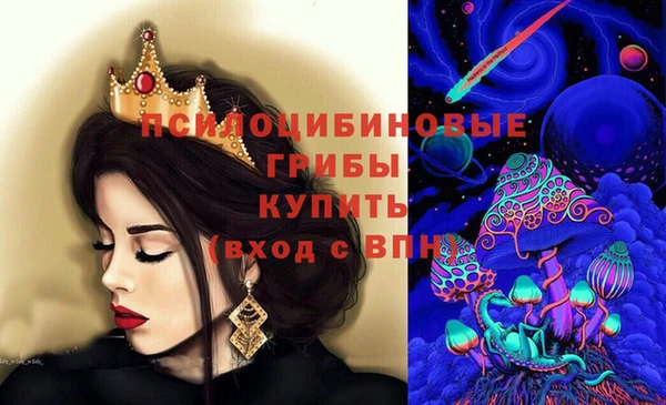 дурь Алексин