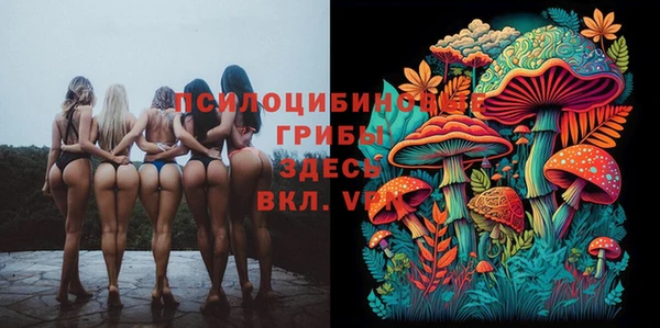 дурь Алексин