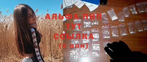 индика Алексеевка