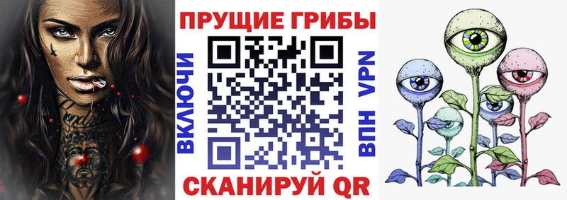 Псилоцибиновые грибы Psilocybine cubensis  наркотики  нарко площадка наркотические препараты  Островной 
